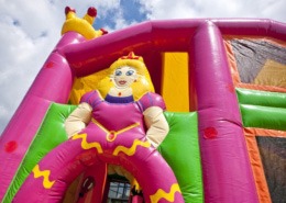 prinses-overdekt_2-260x185